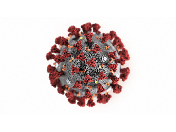 Coronavirus-White Coronavirus-White