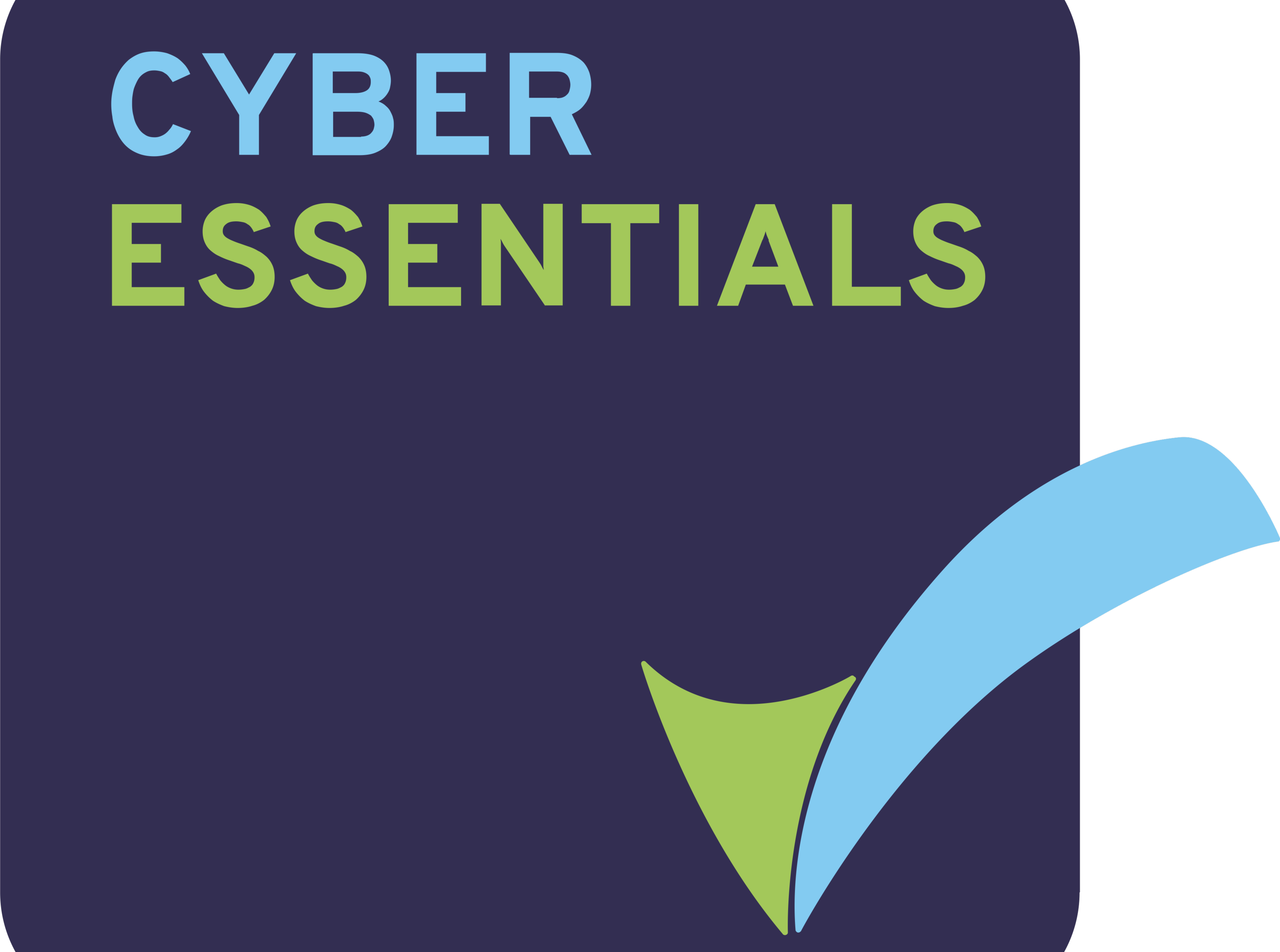 linkedin-In-Stream_Tall___cyber-essentials-badge-high-res-1