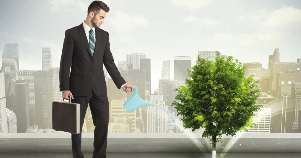 linkedin-In-Stream_Wide___Businessman watering green tree on city background concept